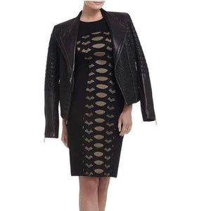 BCBG Leona Lace Dress with Contrast Ponte Dress